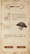 New City of Silver - Fish Mushrooms