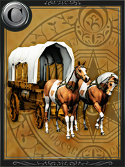 Caravan card