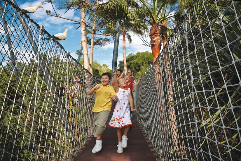 Katandra Treetops | Parque Cetaceans Wiki | Fandom