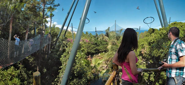 Katandra Treetops | Parque Cetaceans Wiki | Fandom