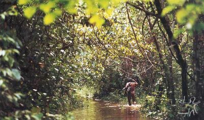 Kayapo 4.jpg