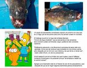 Descarga (5)bk 0ifgnk9fg0in.jpg