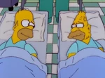 Homer Simpson in: "Kidney Trouble"