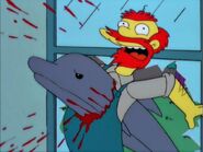 Delfín mata a Willie