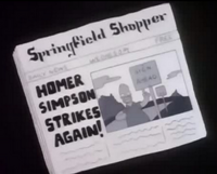 Springfield Shopper 7G03 (3)