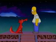 Koyote-homero