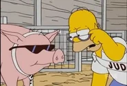 Homer examinando a un Cool Cerdo