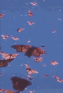 Aesthetic butterflies.gif