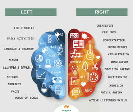 Brain.png