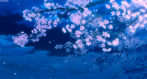 Flower petals.gif