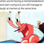 Meme-1.png