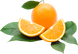 Oranges.png