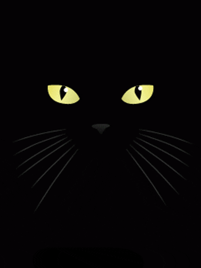 Giphy-1.gif