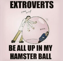 Cool-extroverts-bubble-hamster-ball-1.jpg
