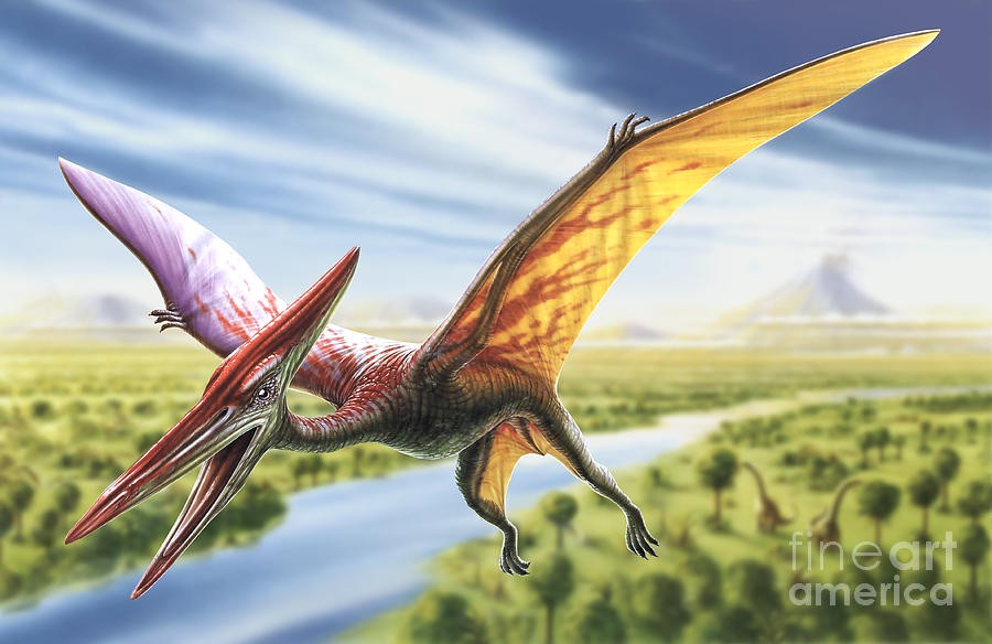 Pterodactyl, Lost Cities Keeper Wiki