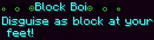 Block Boi.png