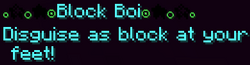 Block Boi.png