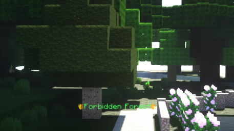 Forbidden forest.png
