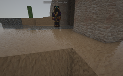Guardian.png