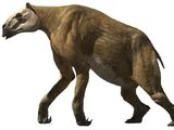 Chalicotherium