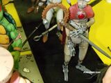 9/NECA