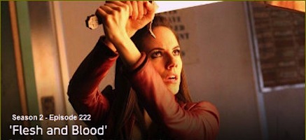 Flesh and Blood Lost Girl Wiki Fandom