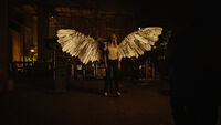 Tamsin Valkyrie wings (404)