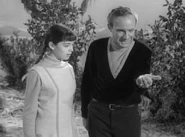 Glitter4b.jpg (74 KB)