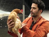 Debbie The Chicken