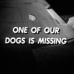 Dog55.jpg