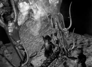 The Bloop returns to the mirror, and its eyes glow and it blows smoke.