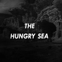 Hungry1.jpg