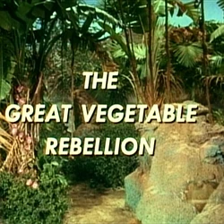 Vegetable1.jpg