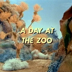 Zoo4.jpg