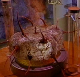 Ghost planet cybernetic leader