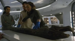 Judy, John and Maureen  Robinson with a fuel eel