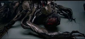 Scarecrow, lying prone on the ground