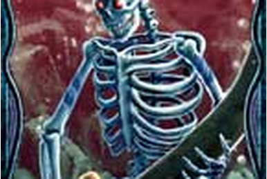 mtg DRUDGE SKELETONS BETA PSA8 - マジック：ザ・ギャザリング