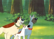 Enhanced-buzz-orig-7763-1372717048-15.jpg (365 KB)