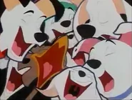 Found Footage Of The Song