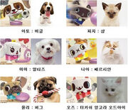 CanimalcharacterintroductionforKoreaearlierversion.jpg