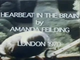 Heartbeat in the Brain (фильм, 1970)