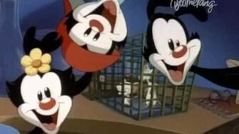 Animaniacs_Pinky_and_the_Brain_Intro_-_russian_new_dubbing_(Boomerang)-0