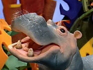 Phoenicia the Hippo that is found by User:Scarecroe of Muppet Wiki