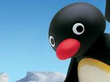 Pingu (Cancelled Live-action movie)