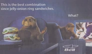 Bellbeavers390x227.jpg (66 KB)