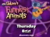 The Galaxy's Funniest Animals (Lost Planet's Funniest Animals / Lilo & Stitch Crossover Episode)