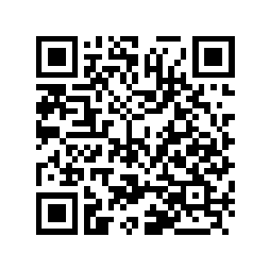 Emigrere Visum Udtale Cars 2: The Video Game (DS, 3DS) (Found Spy Camera QR Codes) | Lost Media  Archive | Fandom