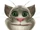 Talking Tom Cat (Various Windows Phone Ports)