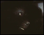 Превращение